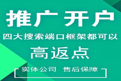网络推广竞价策略案例分析